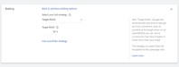 target ROAS bidding strategy