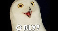 o rly meme owl