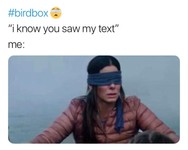 bird box meme
