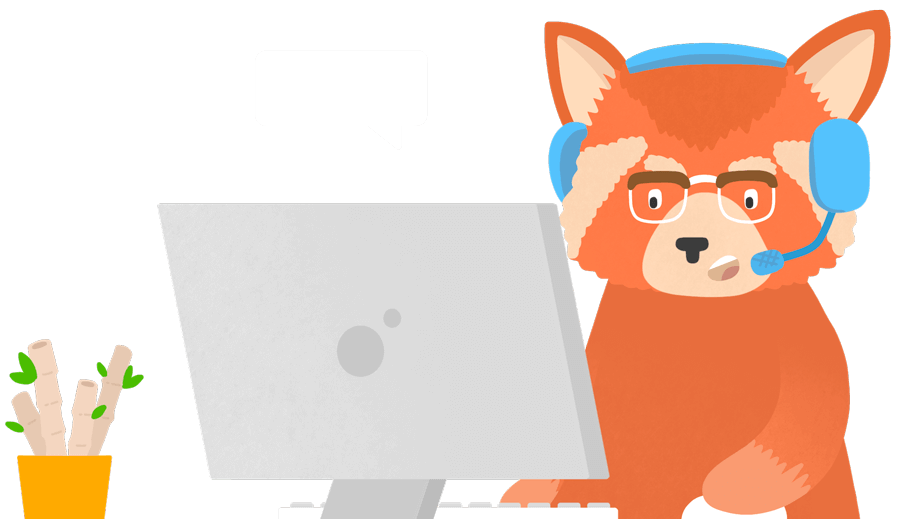 Customer Support Call